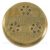 La Felsinea CiaoPasta 2 gramigne 3 mm - matrica